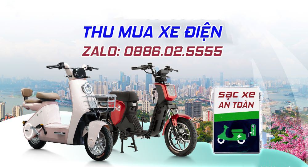 Thu mua xe điện hư bình