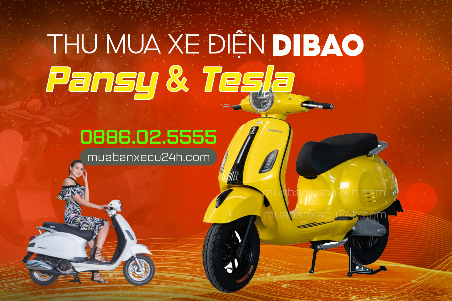Thu mua xe điện Dibao