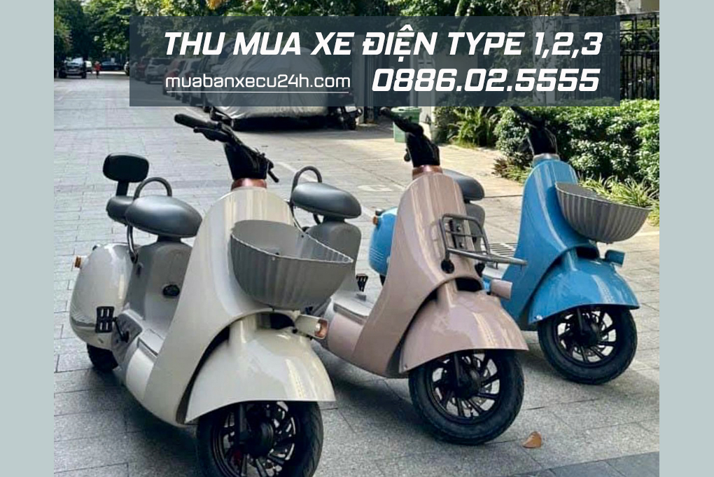 Thu mua xe điện Type 1,2,3